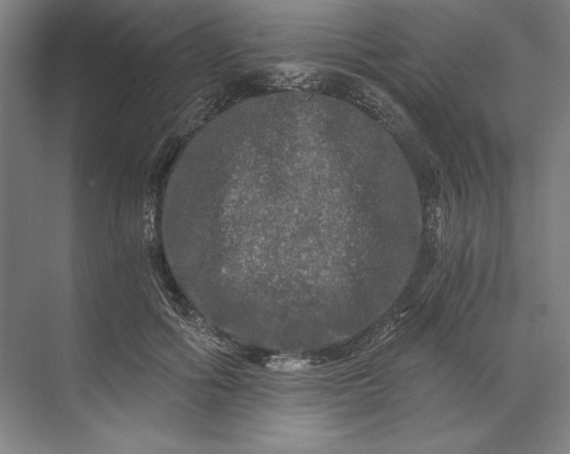 X0000071330602200607071634