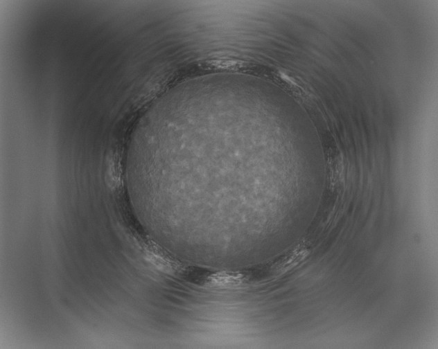 X0000071330606200607071634