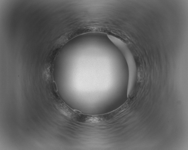 X0000071330611200607071634