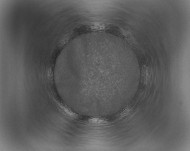 X0000071330614200607071634