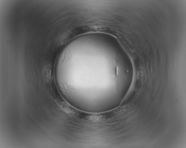 X0000071330615200607071634