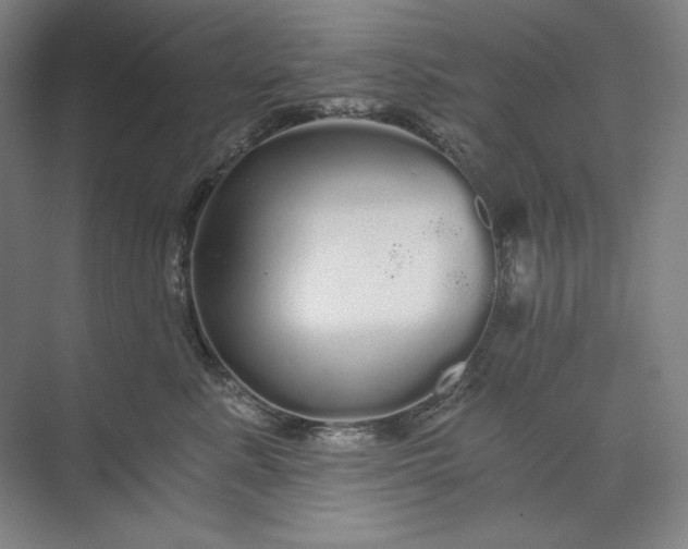 X0000071330619200607071634