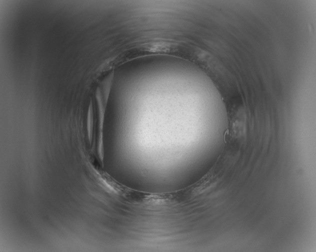 X0000071330620200607071634