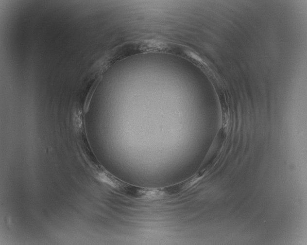 X0000071330621200607071634