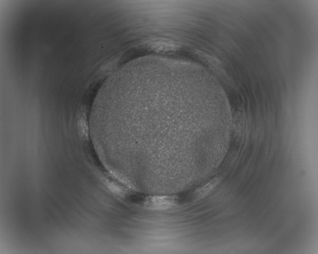 X0000071330622200607071634