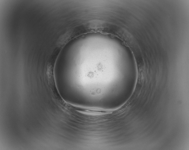 X0000071330623200607071634