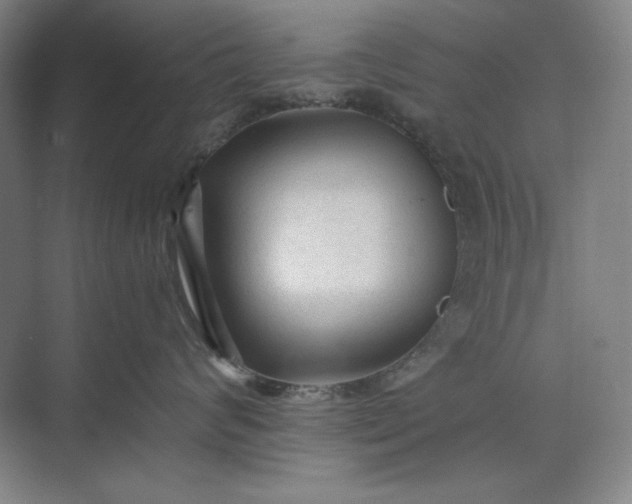 X0000071330624200607071634