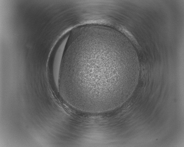 X0000071330628200607071633