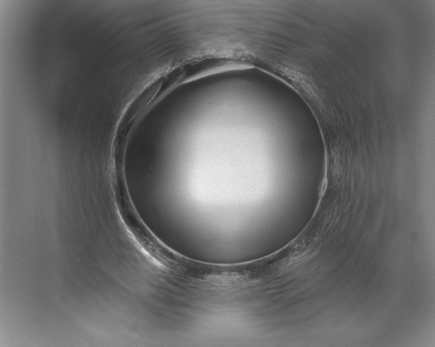 X0000071330630200607071633