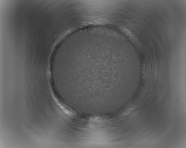 X0000071330634200607071633