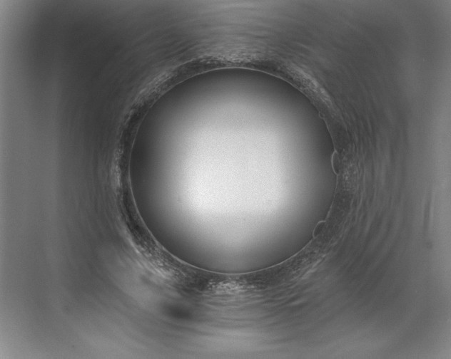 X0000071330635200607071633