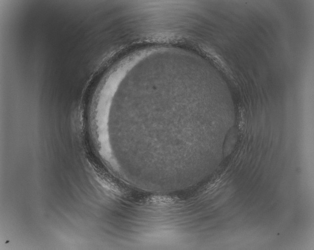 X0000071330636200607071633