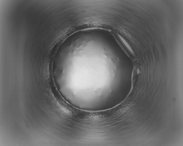 X0000071330638200607071633