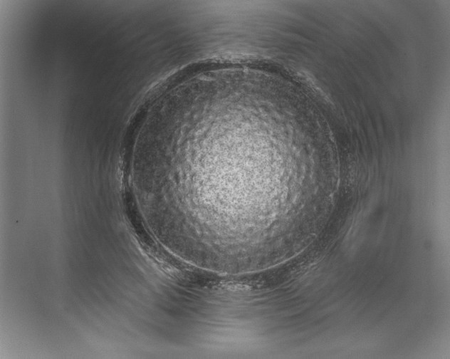 X0000071330640200607071633