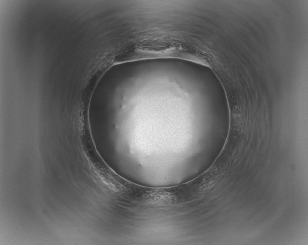 X0000071330642200607071633