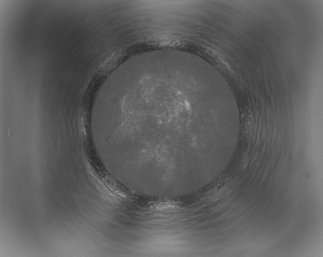 X0000071330643200607071633