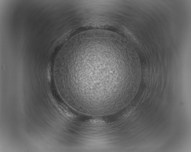 X0000071330644200607071633