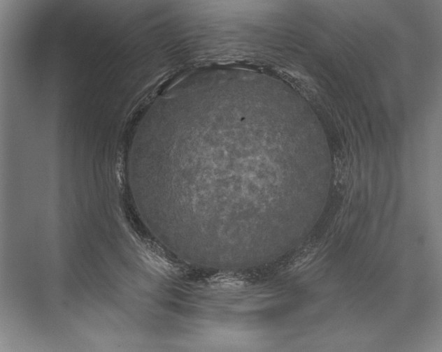 X0000071330648200607071633