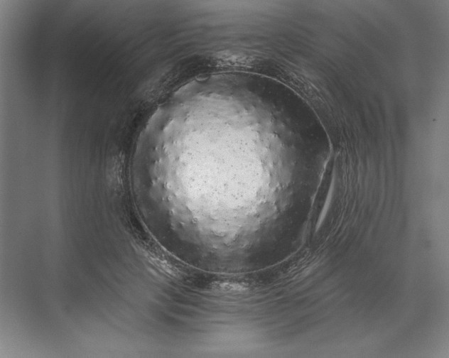 X0000071330649200607071633