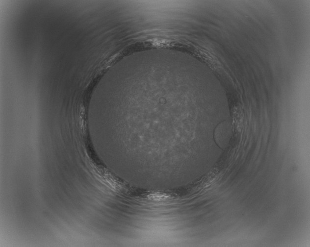 X0000071330650200607071633