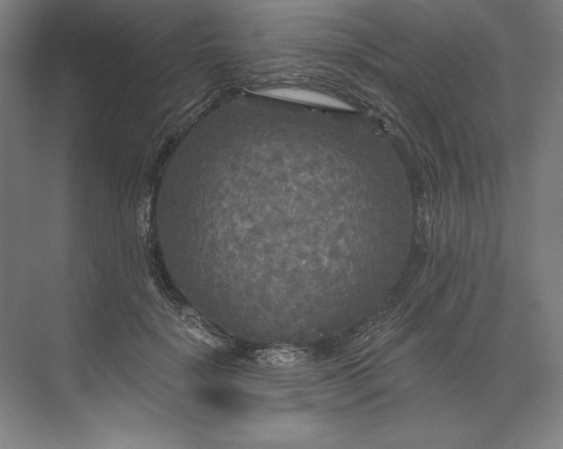 X0000071330652200607071633