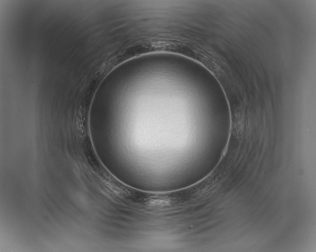 X0000071330653200607071633