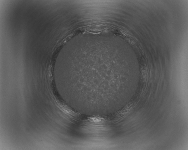 X0000071330654200607071633