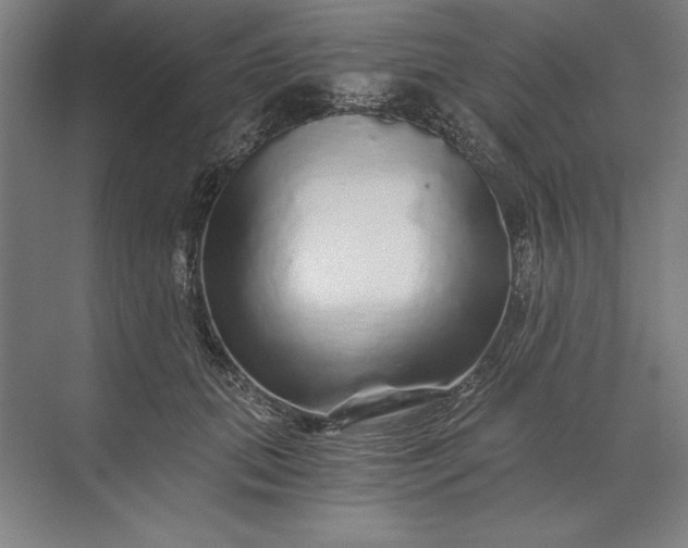 X0000071330655200607071633