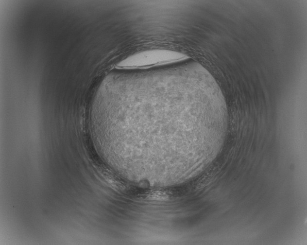 X0000071330656200607071633