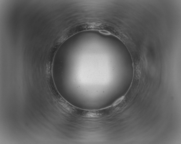 X0000071330657200607071633