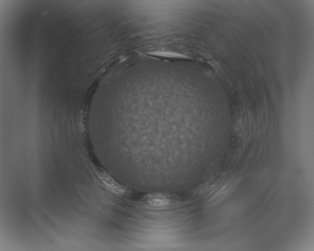 X0000071330658200607071633