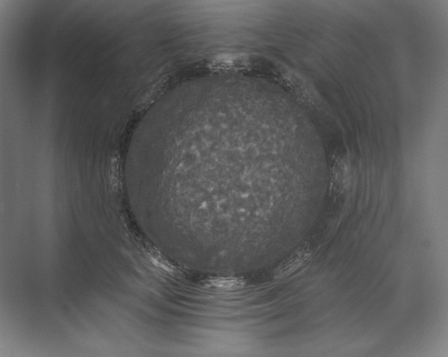 X0000071330659200607071633