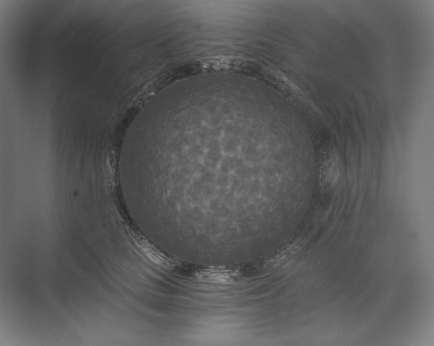 X0000071330661200607071634