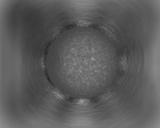 X0000071330663200607071634