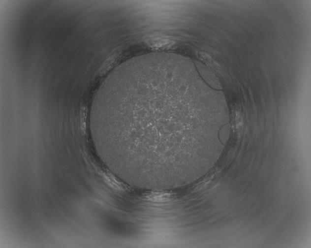 X0000071330664200607071634