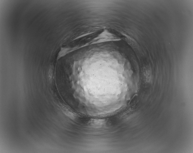 X0000071330665200607071634