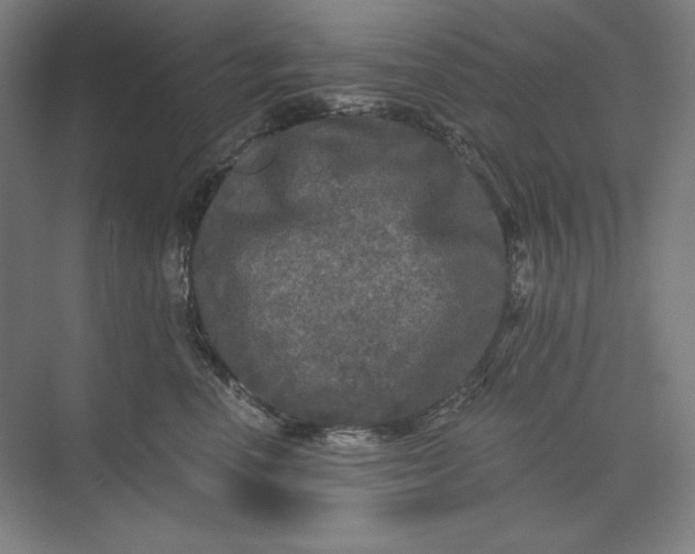 X0000071330666200607071634