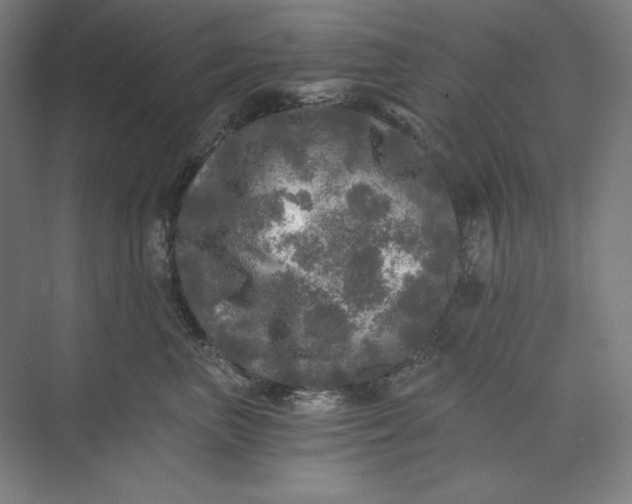 X0000071330667200607071634