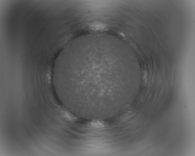 X0000071330668200607071634