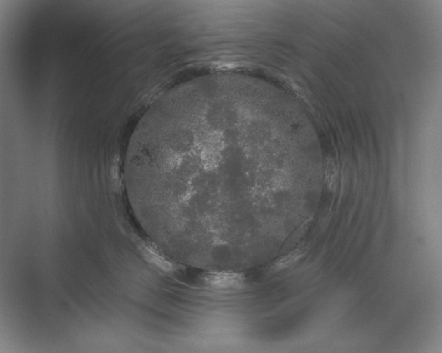 X0000071330670200607071634