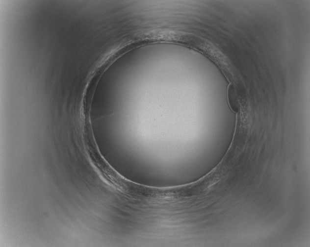 X0000071330674200607071633