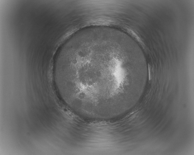 X0000071330675200607071633