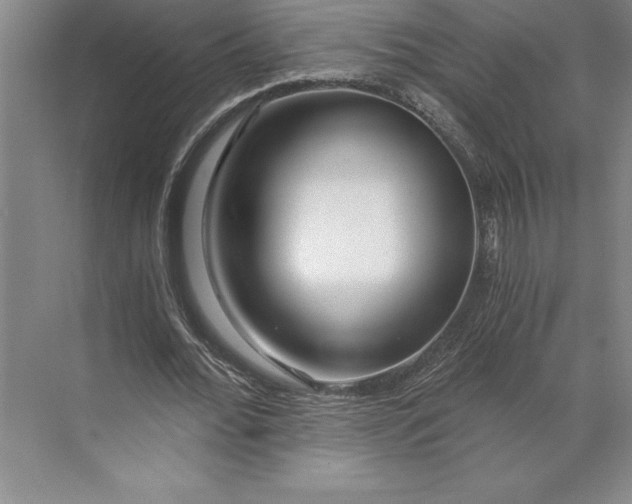 X0000071330676200607071633