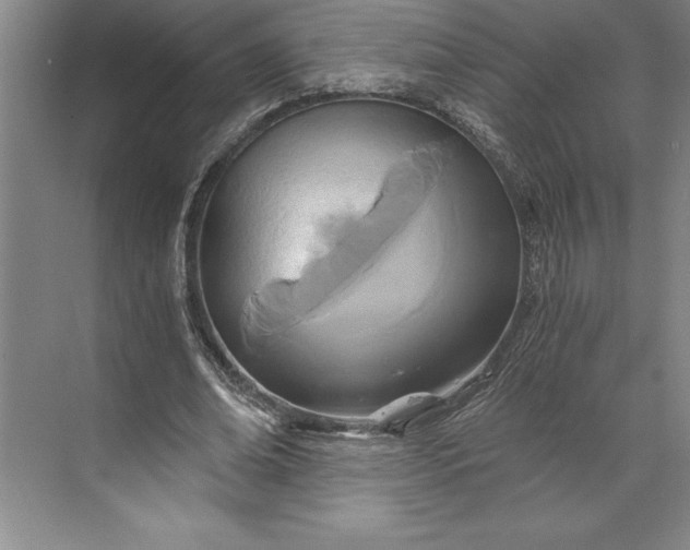 X0000071330678200607071633