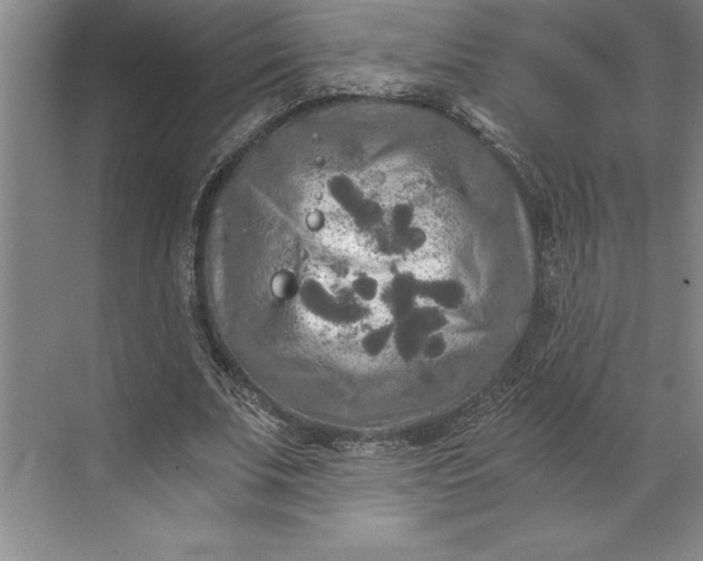 X0000071330679200607071633