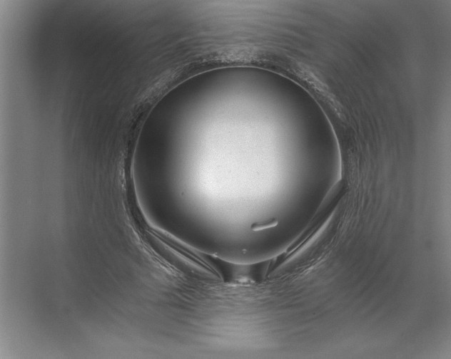 X0000071330681200607071633