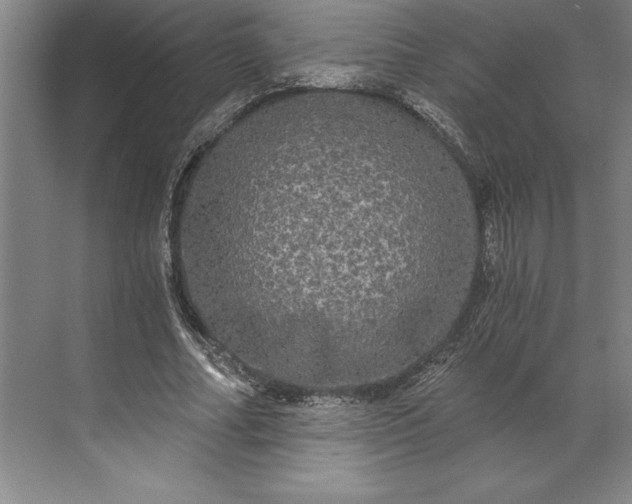 X0000071330682200607071633