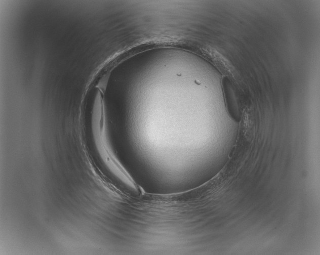 X0000071330684200607071633