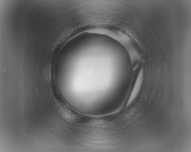 X0000071330685200607071633