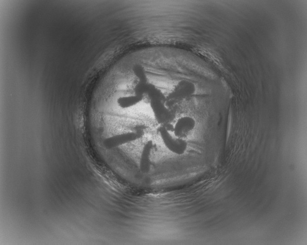 X0000071330687200607071633